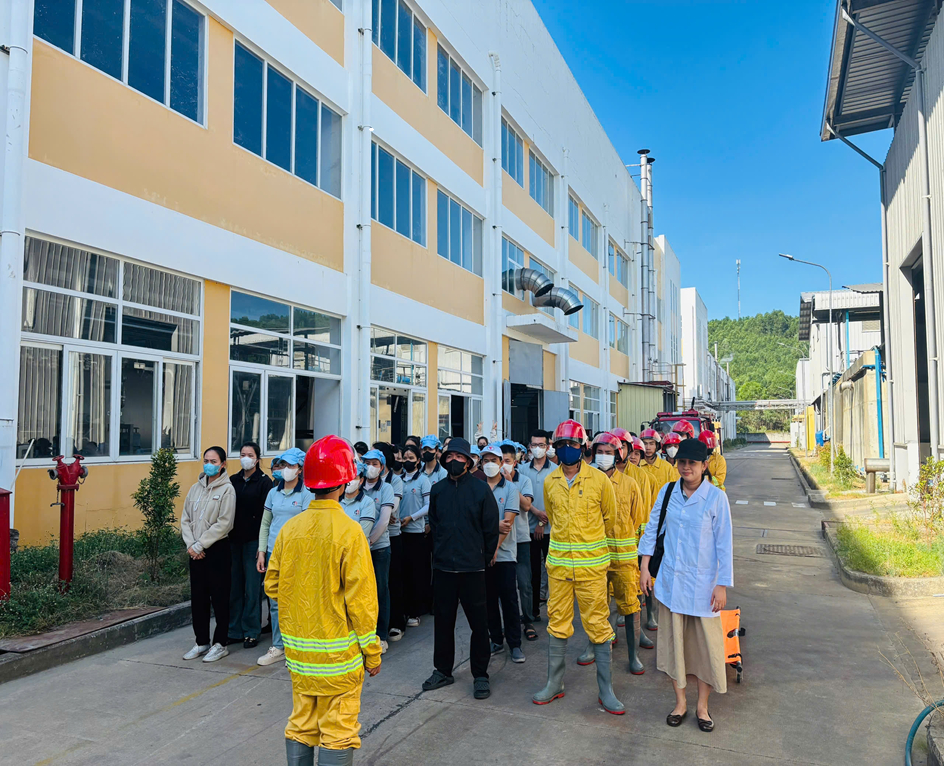 công ty dệt nhuộm việt nam công ty dệt nhuộm việt nam